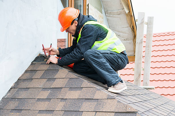 Best Roof Gutter Cleaning  in Fernley, NV